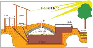 Biogas