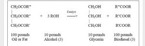 واکنش های تولید بیودیزل