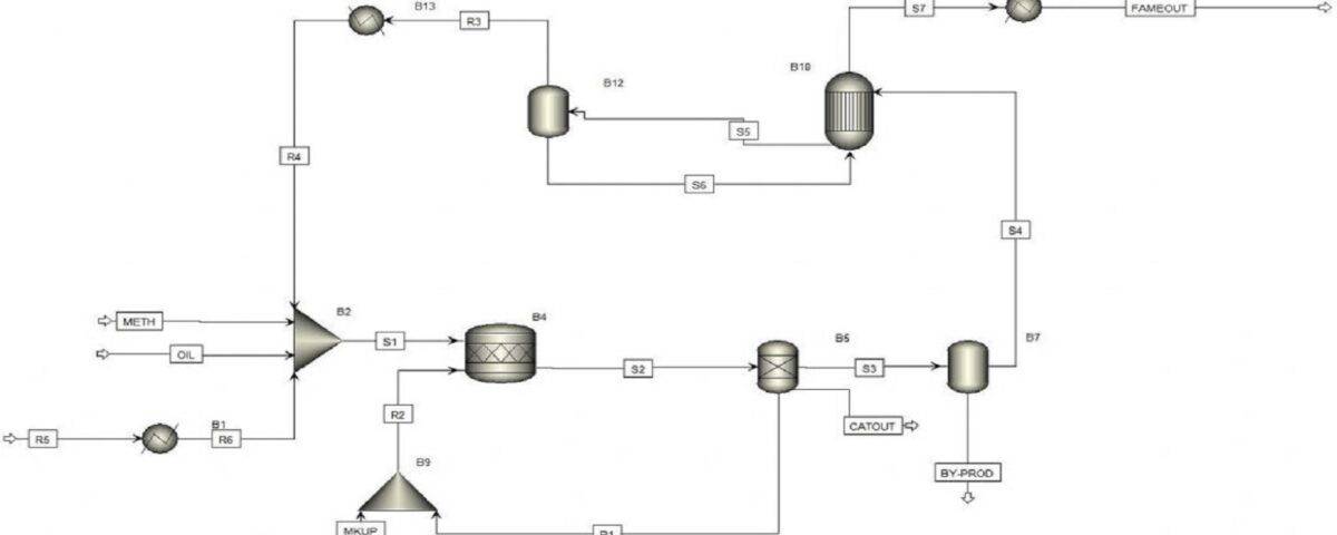 Simulation of biodiesel production process