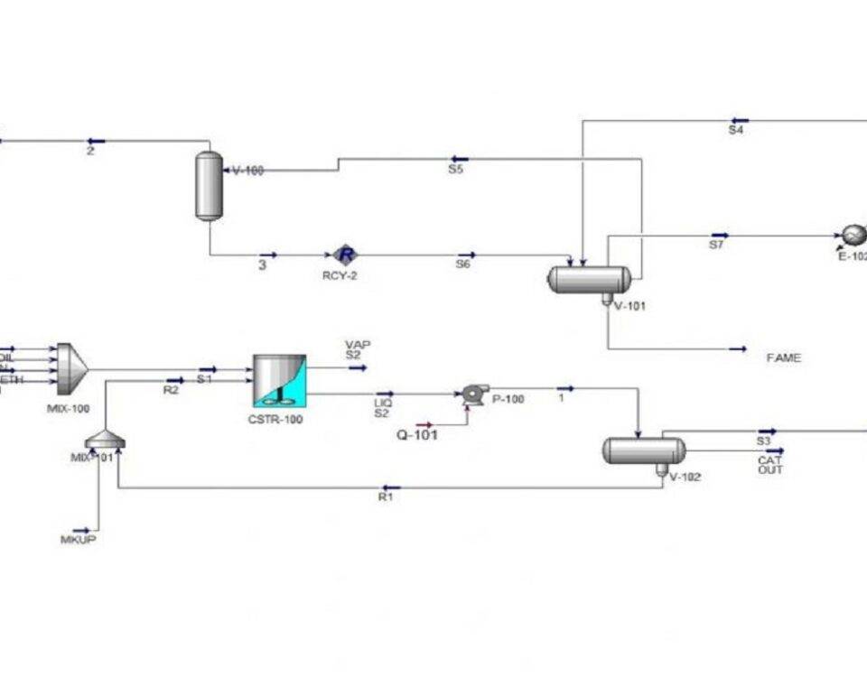 Simulation of biodiesel production process