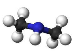 Dimethylamine