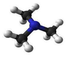 Trimethylamine