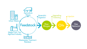 Absorption Process from Biogas