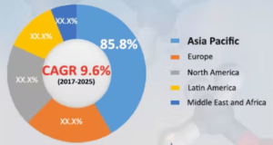 Dimethyl ether market share of different regions of the world