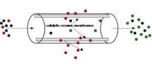 Membrane Reactors