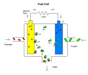 Fuel Cell