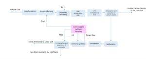 Process Of Production NH3