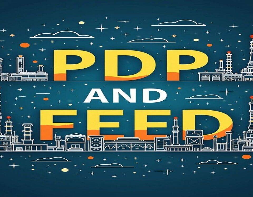 PDP, FEED