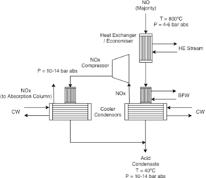 Nitric Oxide Oxidation 