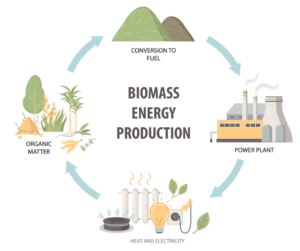 تولید انرژی از زیست توده