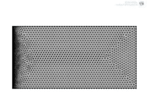 Meshing of the 2D Model 