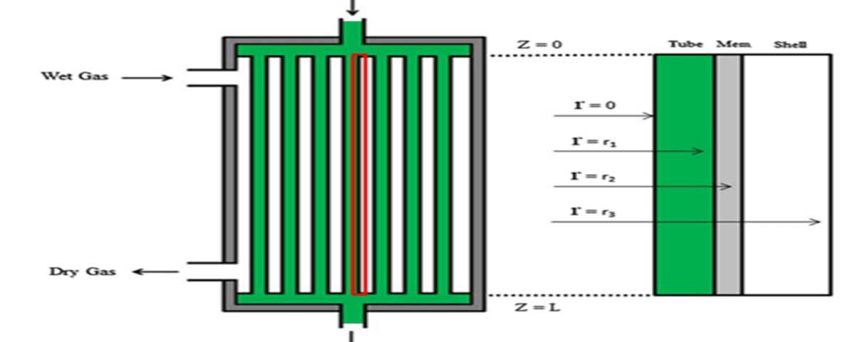 Modeling of Water Vapor Diffusion and Separation from Gas Using TEG in the Membrane